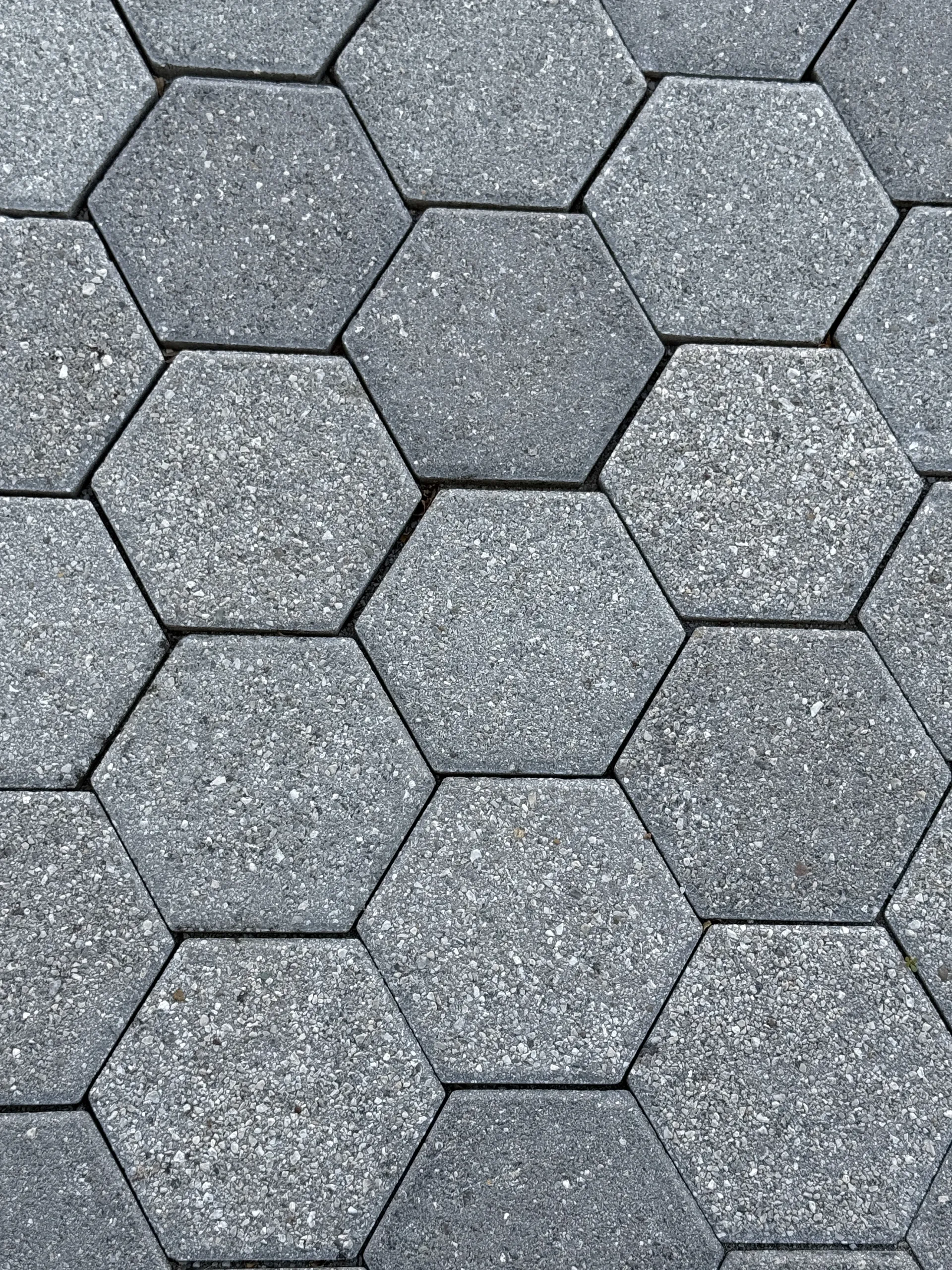 Tlakovci po čiščenju